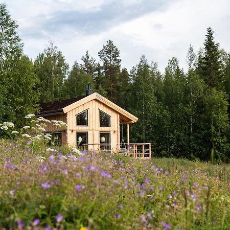 Blueberry Lodge 5 Personnes Mjolan Экстерьер фото