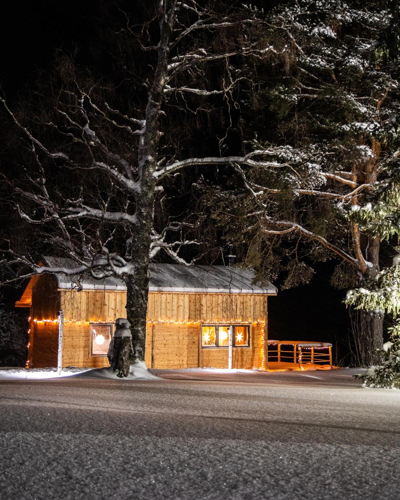 Blueberry Lodge 5 Personnes Mjolan Экстерьер фото