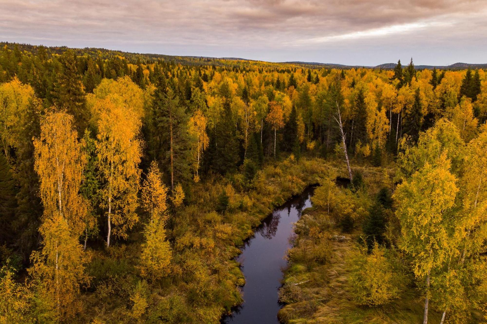 Blueberry Lodge 5 Personnes Mjolan Экстерьер фото